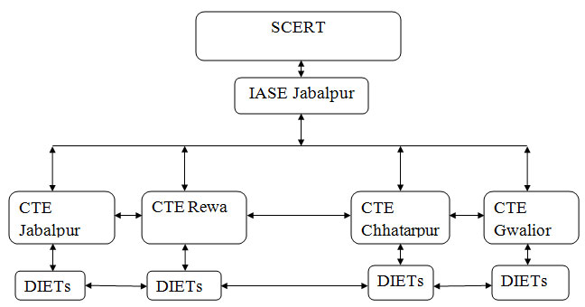 Monitoring and Linkages